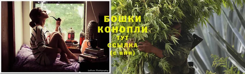 KRAKEN зеркало  где купить   Жердевка  Бошки марихуана THC 21% 